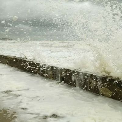 fbmoon1's profile picture. 