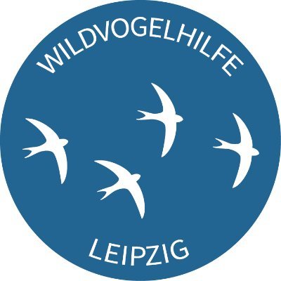 ehrenamtliche Tierrettung + Station zur Rehabilitation verletzter Wildvögel. #birdrescue #artenschutz #umweltbildung
