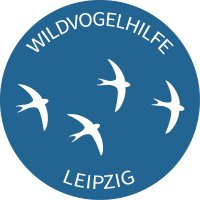 Wildvogelhilfe Leipzig(@WildvogelhilfeL) 's Twitter Profile Photo