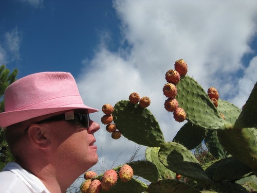 gelovores's profile picture. Я всегда буду против!