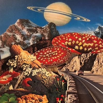 IzzyL69530494's profile picture. 