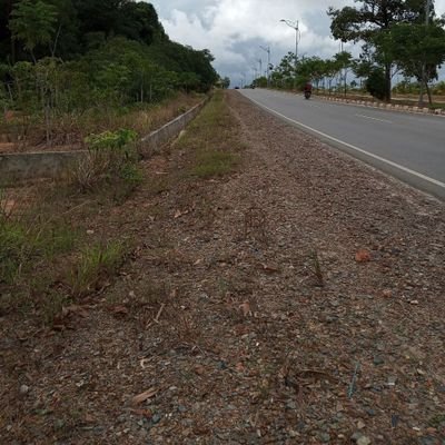 sisaumur's profile picture. 