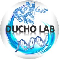 Ducho Group(@ducholab) 's Twitter Profile Photo