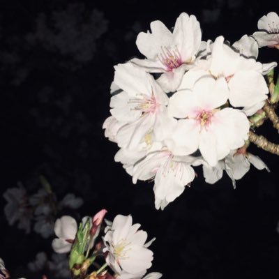 しばた さやか Sayajiro Ldh Twitter