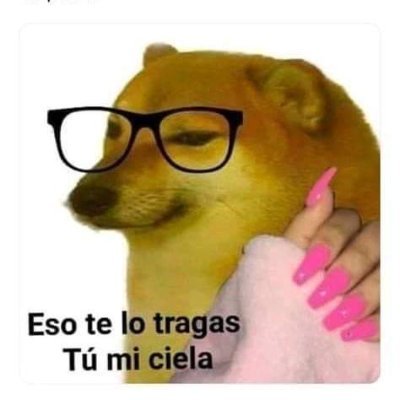 JojoleonF's profile picture. 