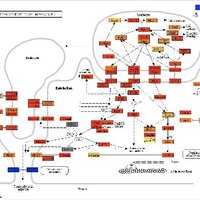 Weishan Huang Laboratory(@WeishanHuang) 's Twitter Profileg