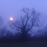 redcrone (@redcrone3) 's Twitter Profile