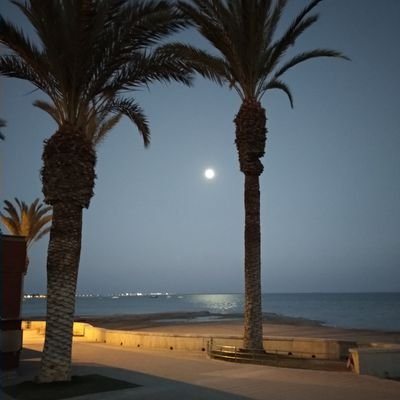 mertapi's profile picture. 