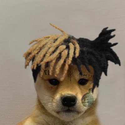 AsterJacxs's profile picture. 