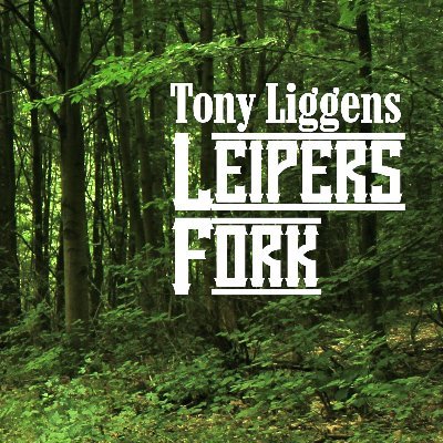 Tony Liggens is a Prolific Songwriter Singer Musician Who's worked with the likes of the late Paul Serrano, Taavi Mote Marty Rifkin James Shelton to name a few.