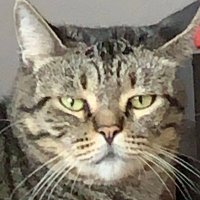 kamjam02 (@kamjam04) 's Twitter Profile