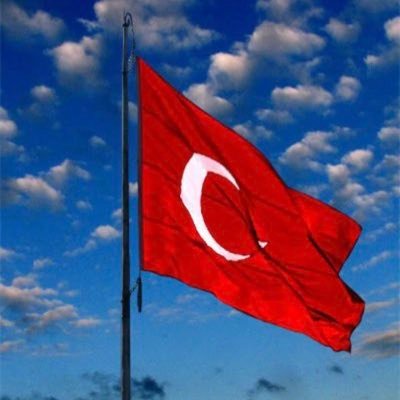 mehmetalp89's profile picture. 