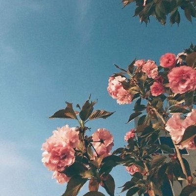 Aida4__'s profile picture. اللهم اجعل جُّل سعيّي في الحياة الدنيا،
 أن أغدو عبدًا صالحًا طيّبُ الأثر و اجعلني مباركاً اين ماكنت.