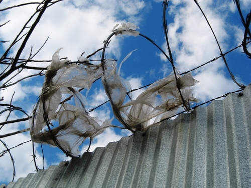 Blog / Artifacts  / Novel – Evoking the splendor of Brooklyn . . . A unique mesh of desolate and sublime.