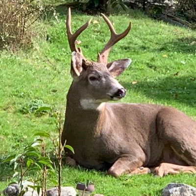 A_Noway's profile picture. Have a good day.