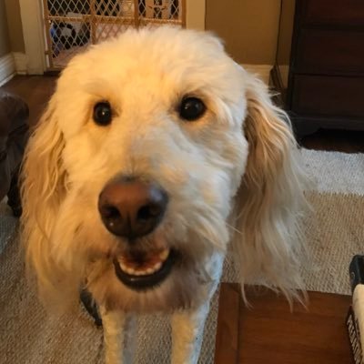 DonRathbun's profile picture. 