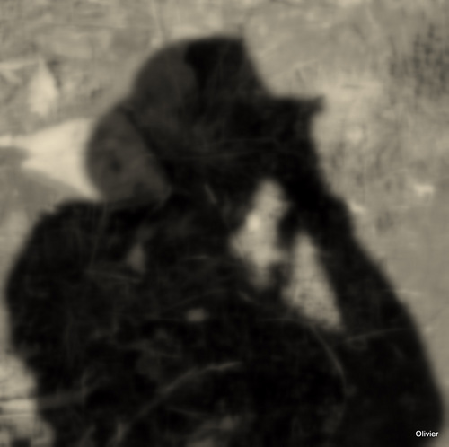 Traveler. Passionate by Photography.     I like #Creative People.  http://t.co/Voc2qCxv9H     http://t.co/dL31IlBP9Q