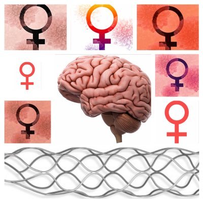 Women Of Vascular & Endovascular Neurosciences — supporting the many achievements of neuroscience-trained females across the neurovascular disciplines