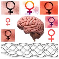 WOVEN Strong (@wovenstrong) 's Twitter Profile