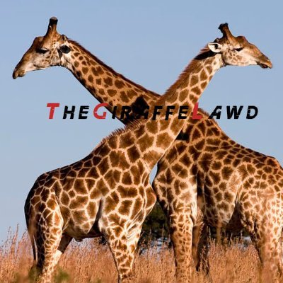 TheGiraffeLawd Profile Picture