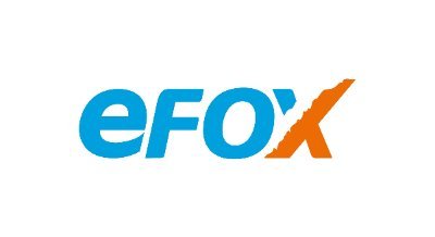 Our brand naming from “e” and “FOX”
E means Electronic
FOX represent Nimble and Wisdom sense in eastern culture.