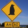 Rick345's profile picture. CEO @EMA_Research: IoT, InfoSec, Cybersecurity, DevOps, Analytics, AI, ML, & APM. Author 6 tech books. Love the outdoors & world travel. Quelquefois en français