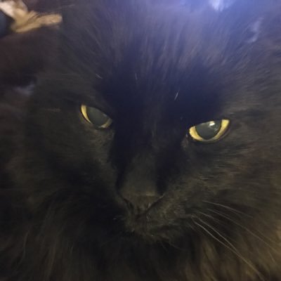 I’m Neo...people were fortunate enough to “rescue”me...& you’re gonna WANT to follow me..who are we kidding?!