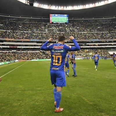 microbito99's profile picture. 