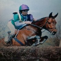 K Whiston Equestrian(@Karenwhiston) 's Twitter Profile Photo