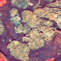 prolific21 (@prolific211) 's Twitter Profile