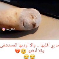 ام (@1231_metho) 's Twitter Profile