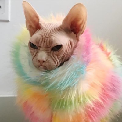 palmerch1's profile picture. nobody exists on purpose. nobody belongs anywhere. everybody's going to die. come watch tv.