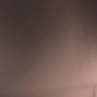 johnnytominaga's profile picture. hunting @LifeFormsNFT