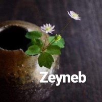 Zeynep ŞAHİN🇹🇷🇹🇷🇹🇷(@Zeynebbsahiin) 's Twitter Profile Photo