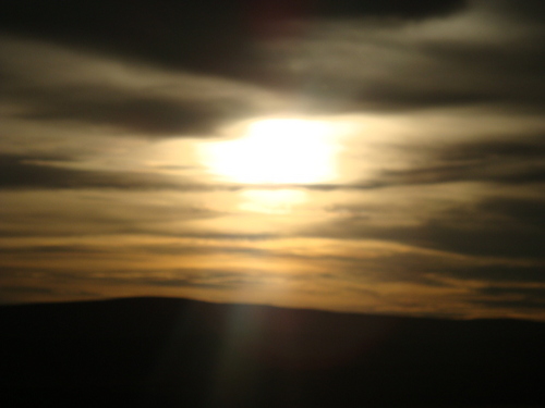 adriancito25's profile picture. Confía en el tiempo, que suele dar dulces salidas a muchas amargas dificultades.