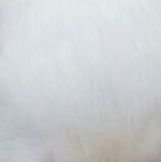 flechadajenn's profile picture. 