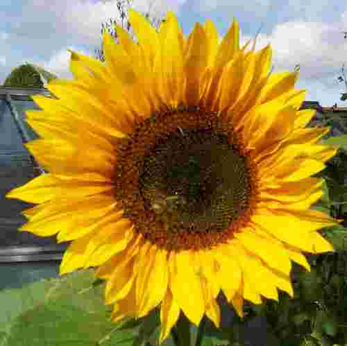 Gilla01's profile picture. Living in the lovely county of Norfolk