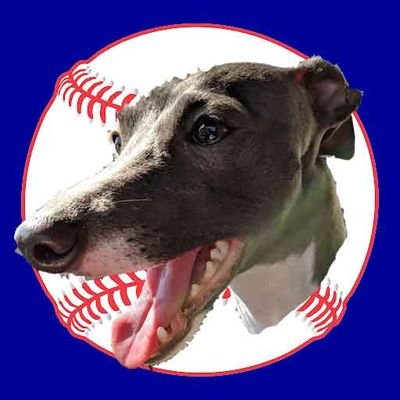 DodgerDoggo Profile Picture