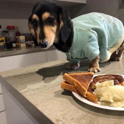 shimakawa14's profile picture. 