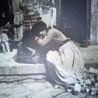 concetta ️🏳️ amo tutti i popoli🍉🔻 (@concetta1915) 's Twitter Profile