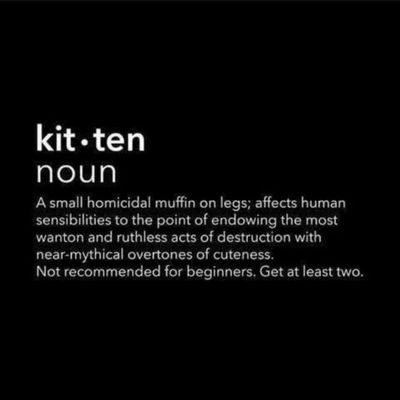 Avid reader. Feline worshipper. Classical and Rock music lover. Multilingual. Staunch defender of Equality. Ever learning Teacher. All views are my own.
she/her