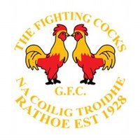 The Fighting Cocks CLG (@fightingcocksgf) 's Twitter Profile Photo The Fighting Cocks CLG (@fightingcocksgf) 's Twitter Profile Photo