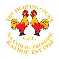 The Fighting Cocks CLG(@FightingCocksGF) 's Twitter Profile Photo