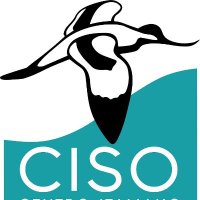 CISO (@ciso_coi) 's Twitter Profile Photo CISO (@ciso_coi) 's Twitter Profile Photo