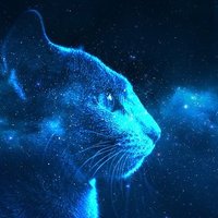 Hullabaloo22 (@hullabaloo22) 's Twitter Profile