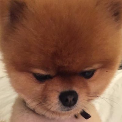 やっほぅ
