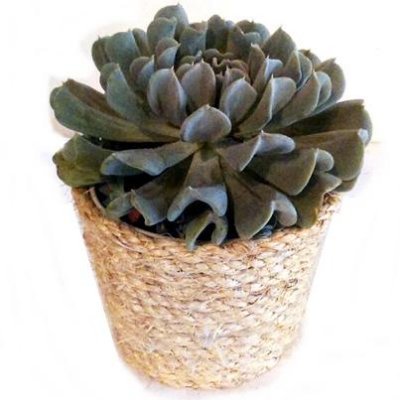 Keylab911's profile picture. 