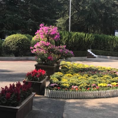 Bjbj_0003's profile picture. 