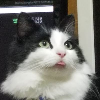 Arienxxxx's profile picture. よろしくです～。