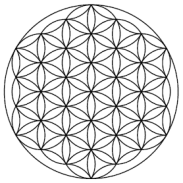 arty4m's profile picture. 